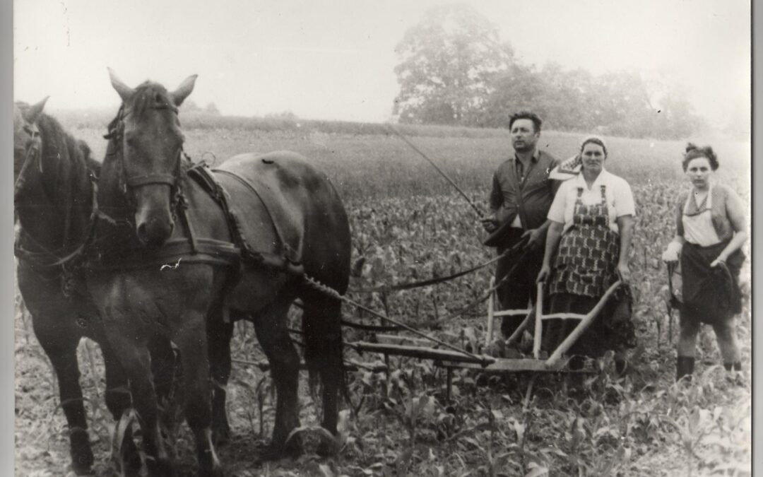 Poljoprivredni radovi